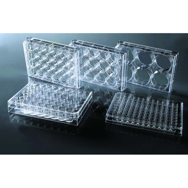 Sapphire Cell Culture Plate, group